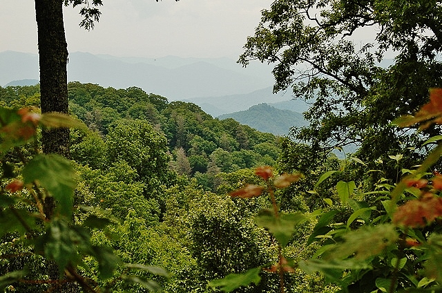 mountain range